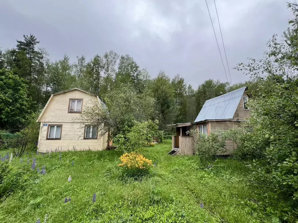 Дача 45 м на участке 8 сот. - Фото 1