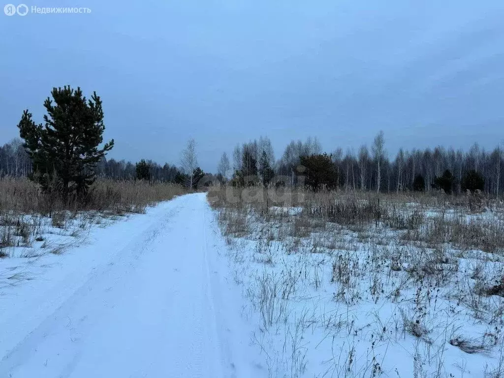 Участок в посёлок Карагандинский, садовые участки (13.1 м) - Фото 1