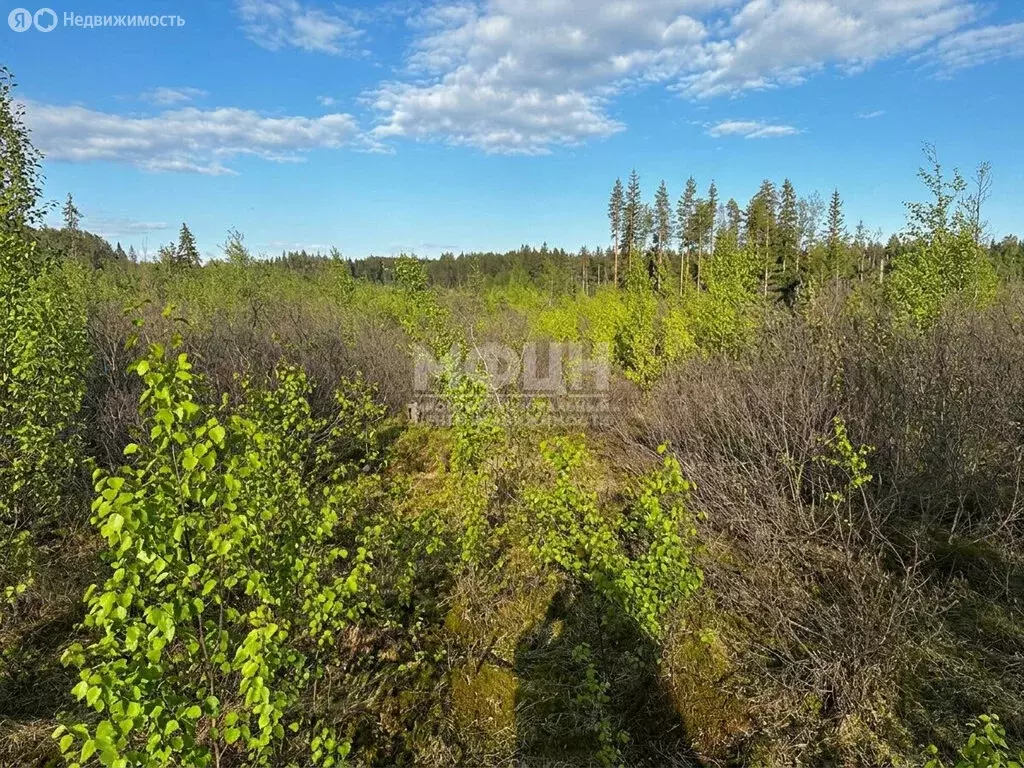 Участок в Петрозаводск, улица Верхняя Неглинка (10 м) - Фото 2