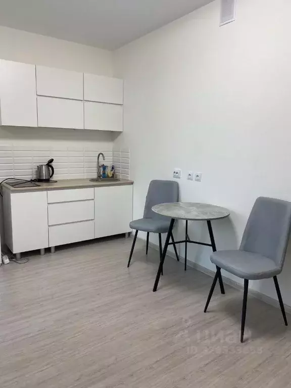 Студия Санкт-Петербург пос. Шушары, просп. Старорусский, 5к1 (22.0 м) - Фото 1