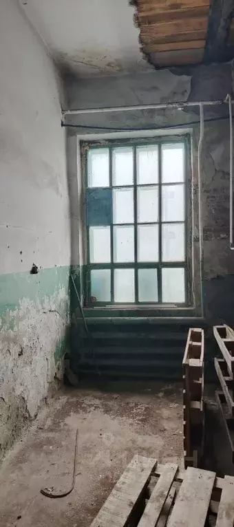 Помещение свободного назначения в Новосибирская область, Новосибирск ... - Фото 0