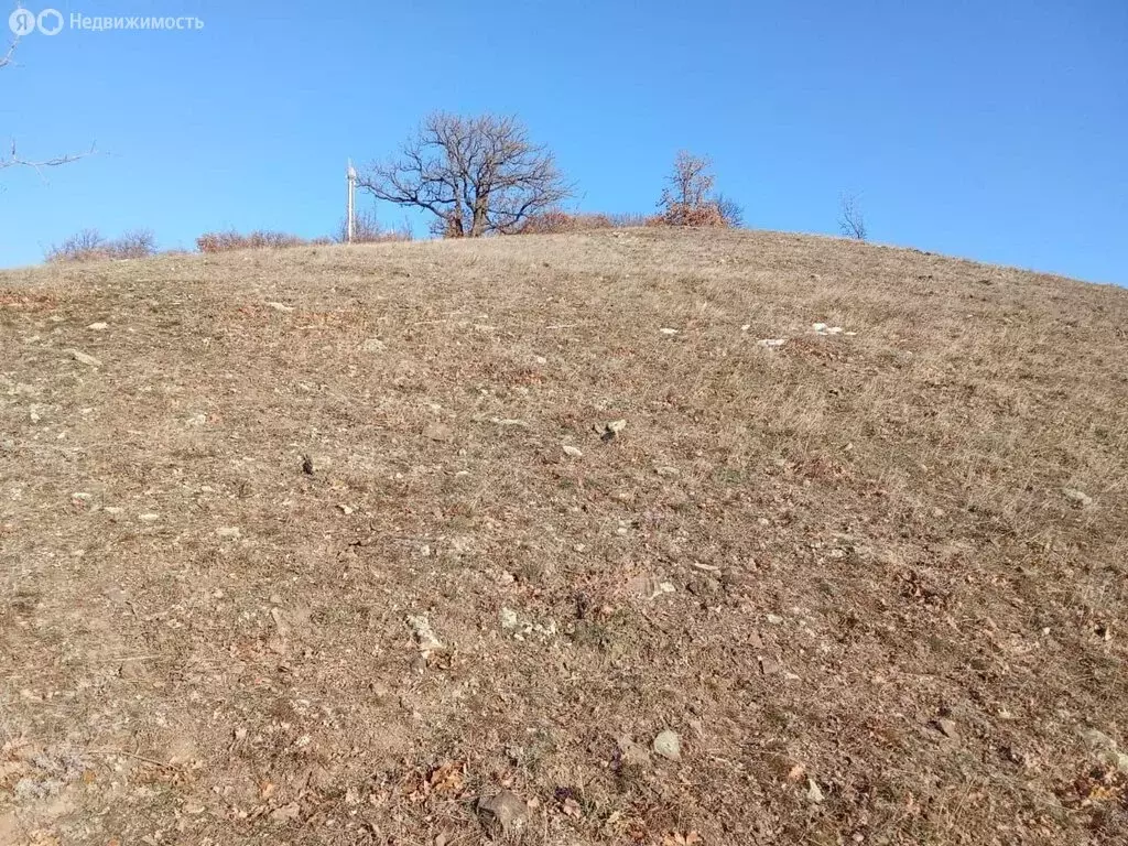 Участок в Приветное, улица Фросинлер (9.4 м) - Фото 1