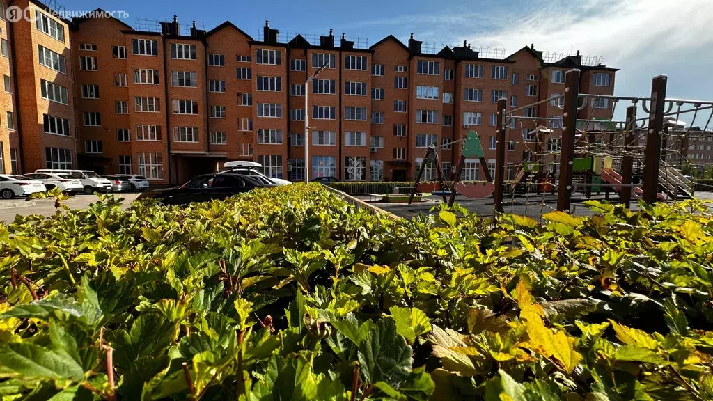 Квартира-студия: Ессентуки, микрорайон Северный-2 (34.3 м) - Фото 0