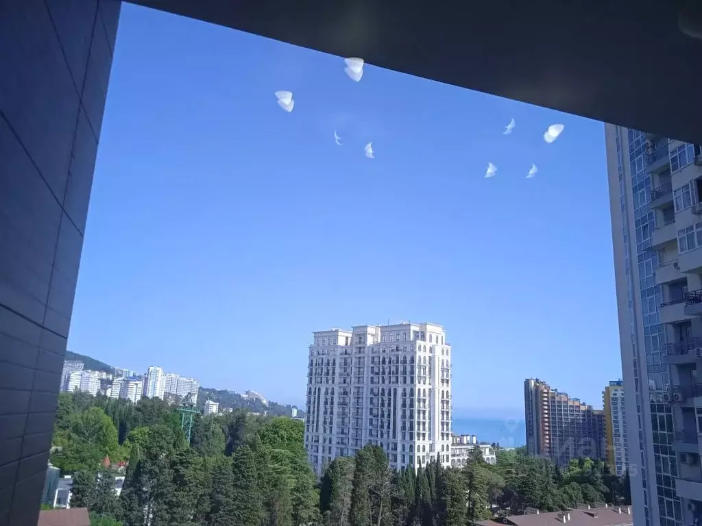 Студия Краснодарский край, Сочи Светлана мкр, ул. Депутатская, 10 ... - Фото 1