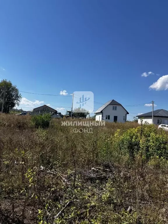 Участок в Саратовская область, Энгельс муниципальное образование, ... - Фото 2