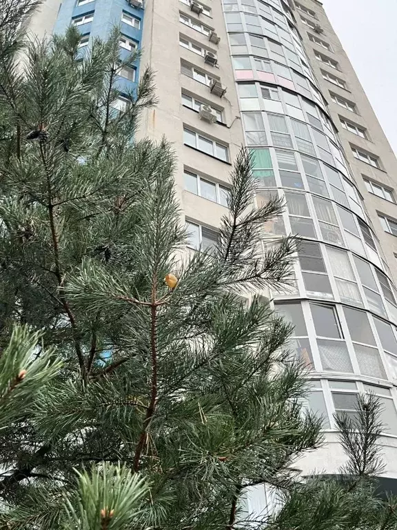 3-к кв. Ярославская область, Ярославль Московский просп., 163к2 (99.2 ... - Фото 1