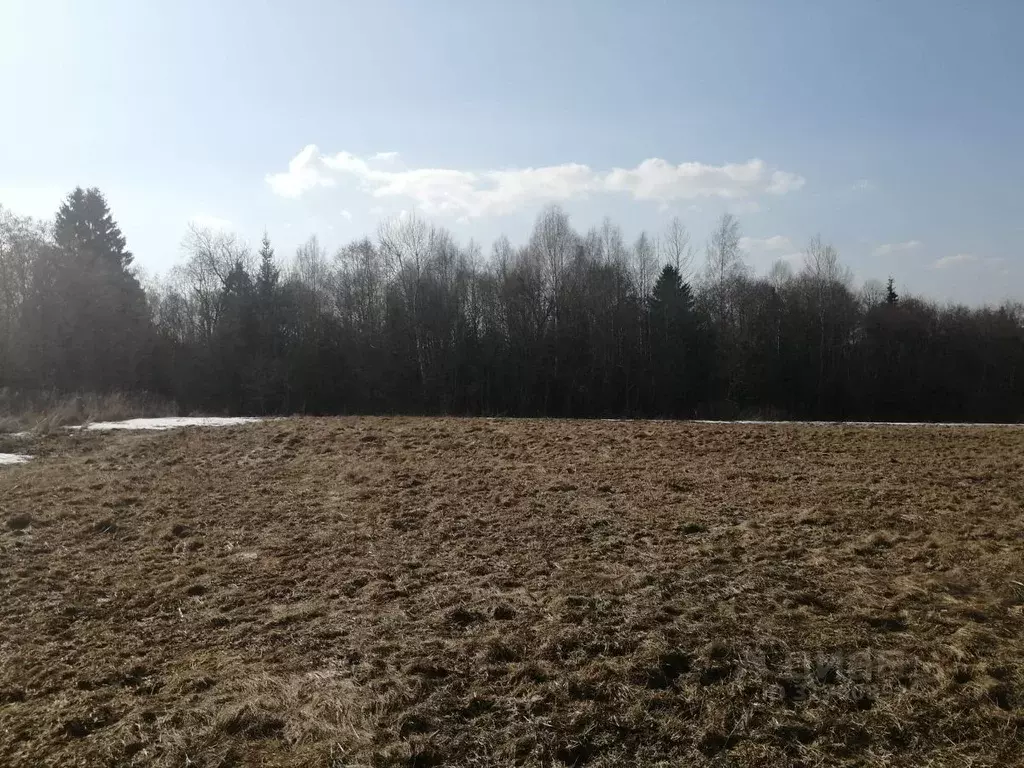 Участок в Владимирская область, Александровский район, ... - Фото 0