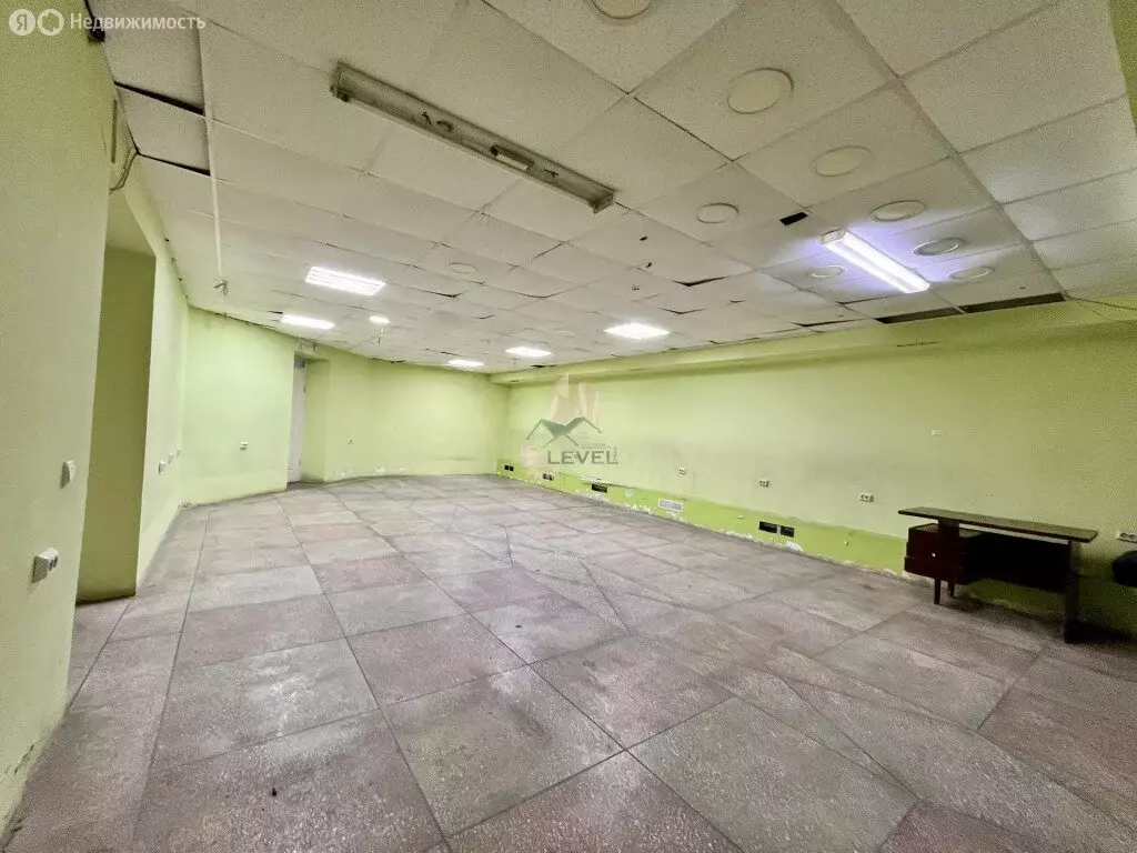 Помещение свободного назначения (239.4 м) - Фото 2