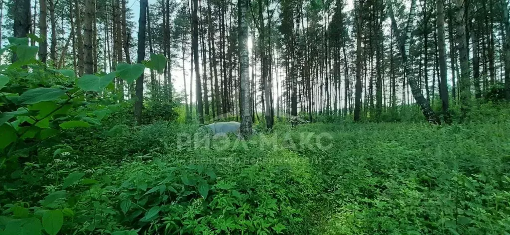 Участок в Брянская область, Брянск Западная ул. (17.0 сот.) - Фото 0