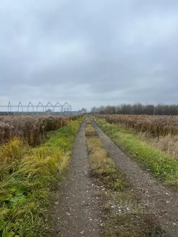 Участок в Тульская область, Щекинский район, Яснополянское с/пос, д. ... - Фото 2