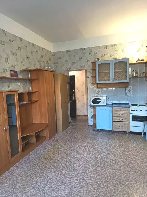 1-к кв. Алтайский край, Барнаул ул. Малахова, 177А (28.0 м) - Фото 1