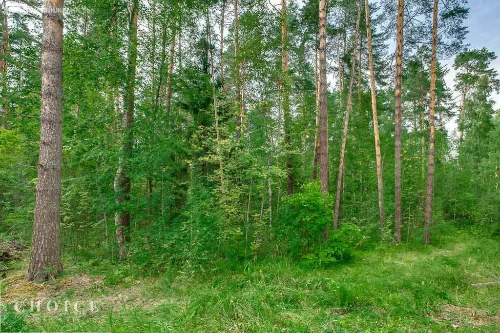 Участок в Одинцовский городской округ, посёлок дачного хозяйства ... - Фото 0