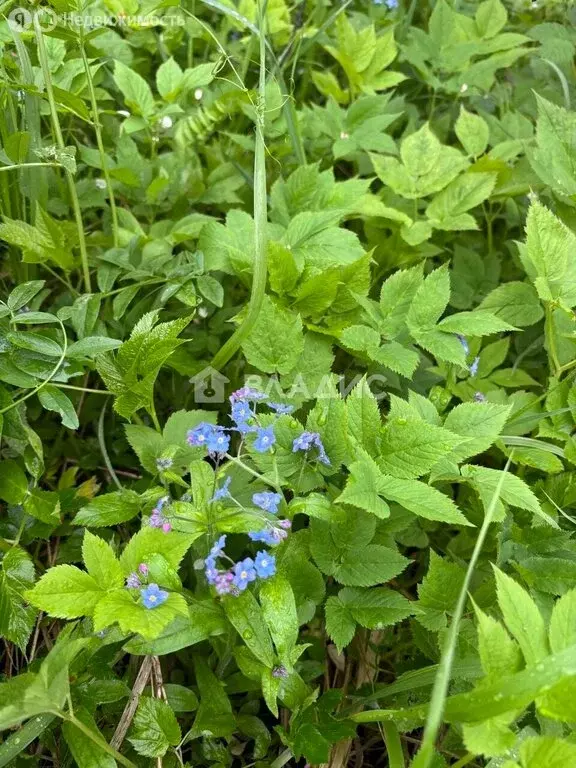 Дом в Санкт-Петербург, 16-я аллея, 12 (160 м) - Фото 2