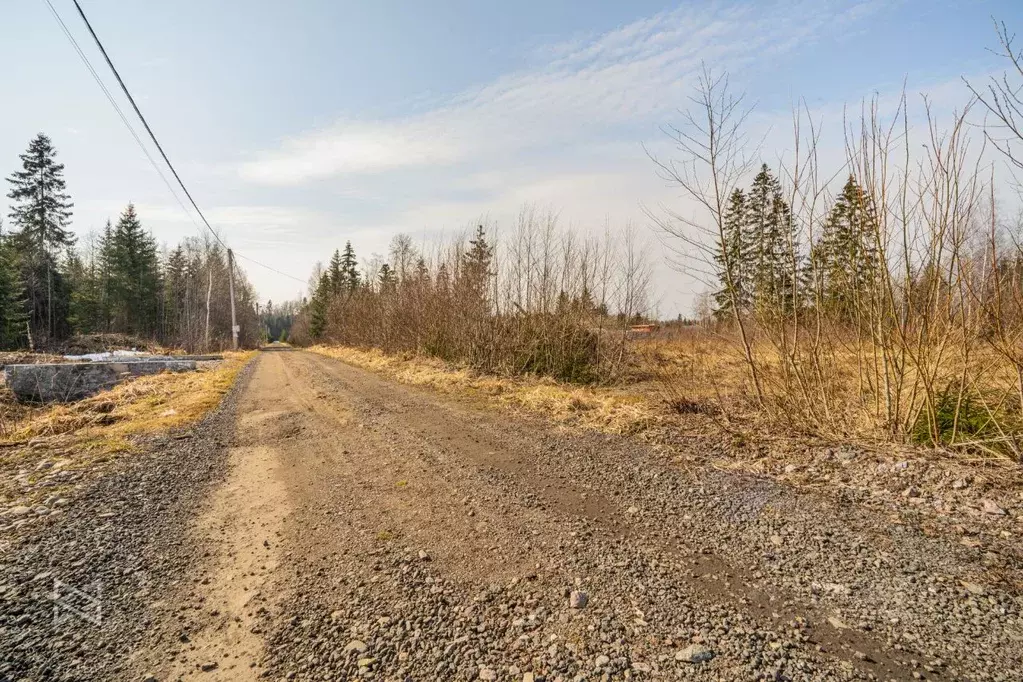 Участок в Ленинградская область, Тосненский район, Рябовское городское ... - Фото 1