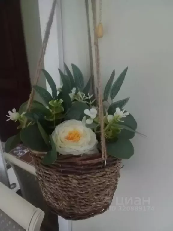 Комната Архангельская область, Архангельск ул. Попова, 3с2 (12.0 м) - Фото 2