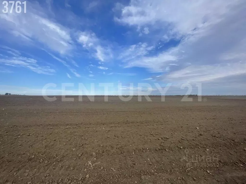 Участок в Крым, Сакский район, Штормовское с/пос, с. Приветное  (6.0 ... - Фото 2