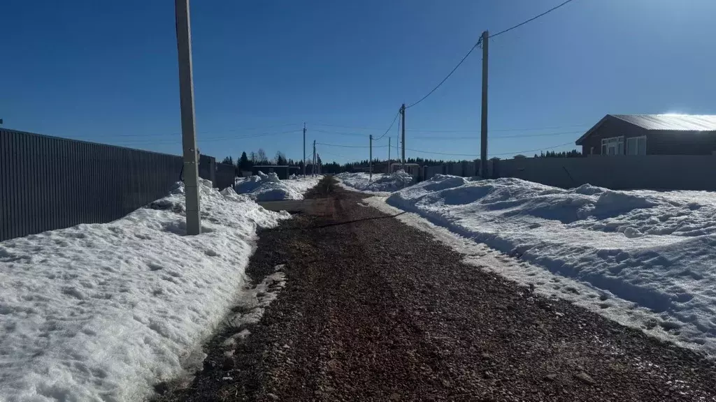 Участок в Пермский край, Пермский муниципальный округ, д. Большакино ... - Фото 2