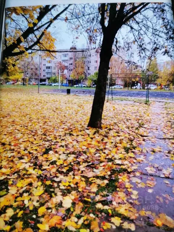 3-к кв. Калужская область, Обнинск просп. Маркса, 88 (60.3 м) - Фото 2