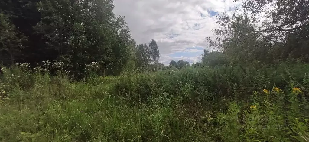 Участок в Московская область, Талдомский городской округ, д. ... - Фото 0