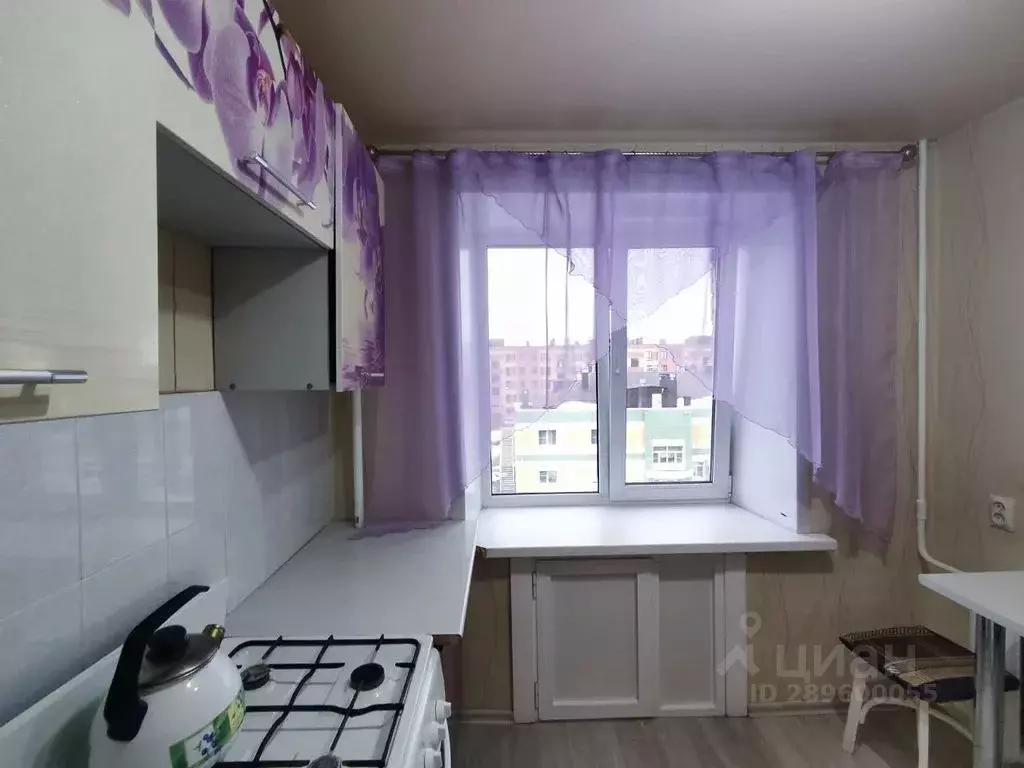 1-к кв. Вологодская область, Череповец просп. Строителей, 7А (32.0 м) - Фото 2