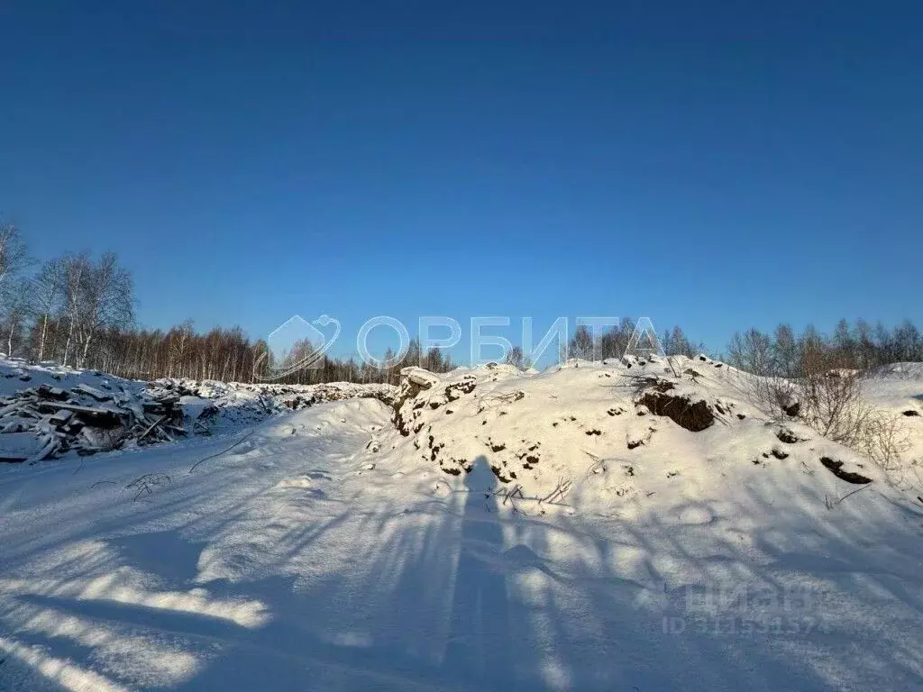 Участок в Тюменская область, Тюмень  (400.0 сот.) - Фото 0