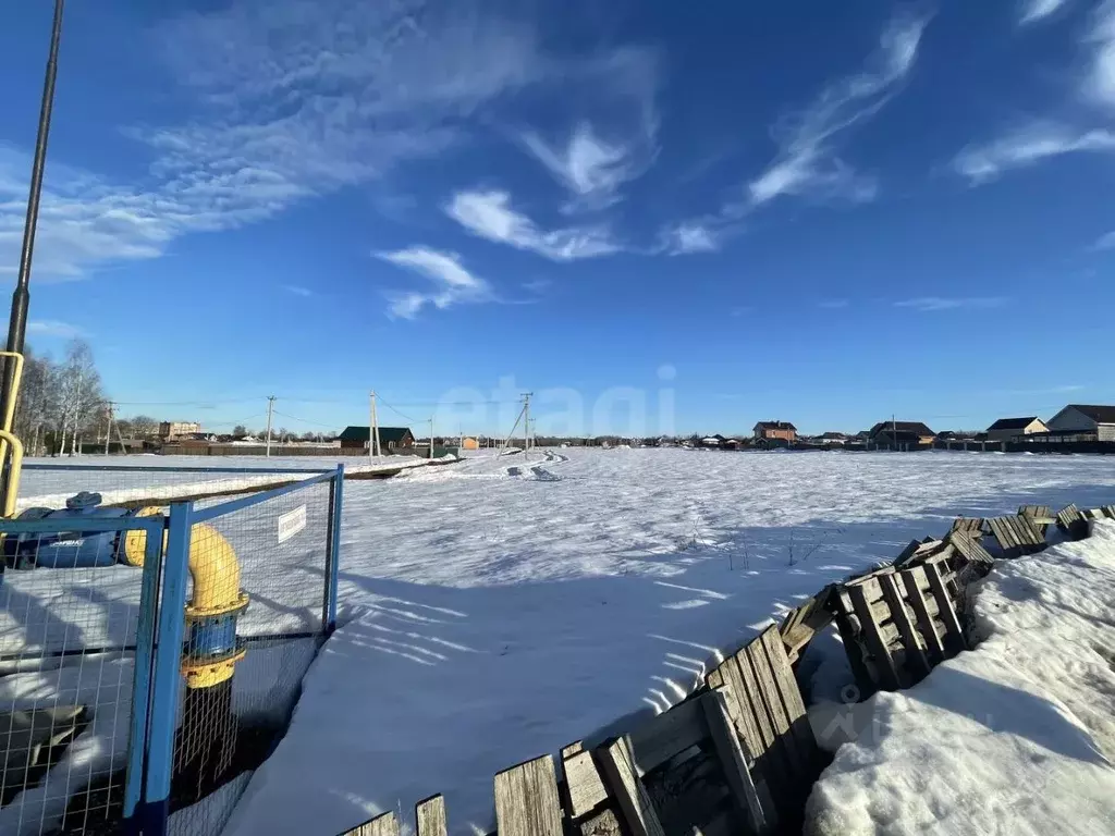 Участок в Ярославская область, Тутаевский муниципальный округ, пос. ... - Фото 2