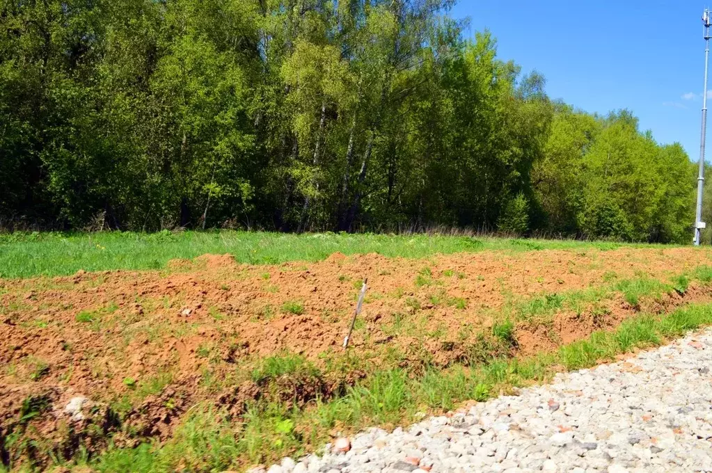 Участок в Московская область, Подольск городской округ, Пузиково кп 85 ... - Фото 2