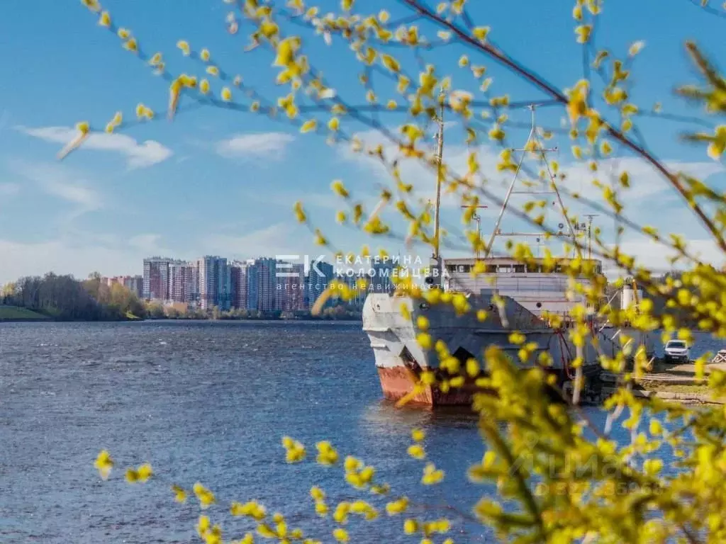 Участок в Ленинградская область, Всеволожский район, Имени Свердлова ... - Фото 1