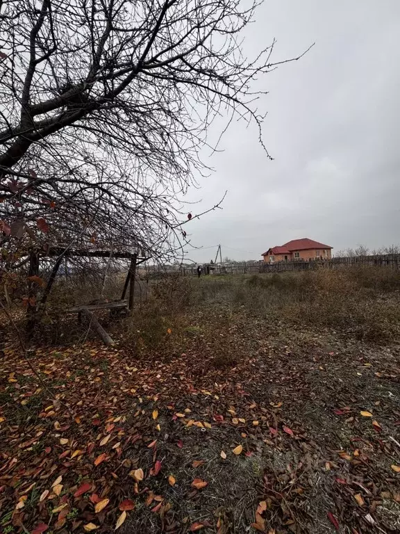 Участок в Астраханская область, Астрахань ул. Головина (11.0 сот.) - Фото 2