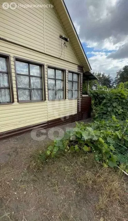 Дом в Рамонский район, Новоживотинновское сельское поселение, СНТ ... - Фото 2