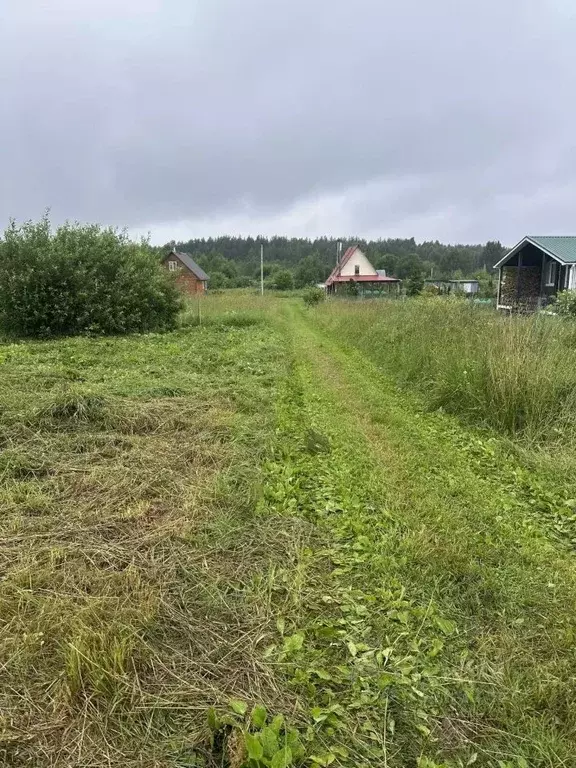 Участок в Псковская область, Печорский муниципальный округ, д. Лесицко ... - Фото 2