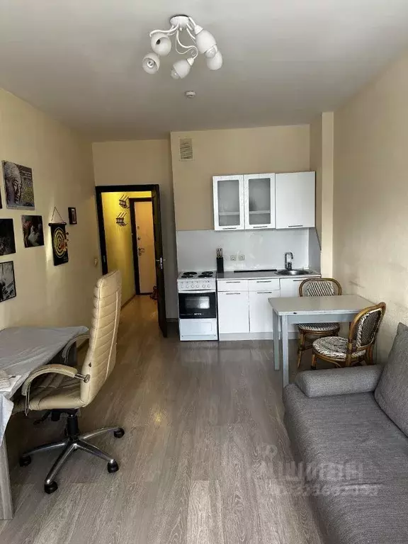 Студия Санкт-Петербург Союзный просп., 4 (24.7 м) - Фото 2