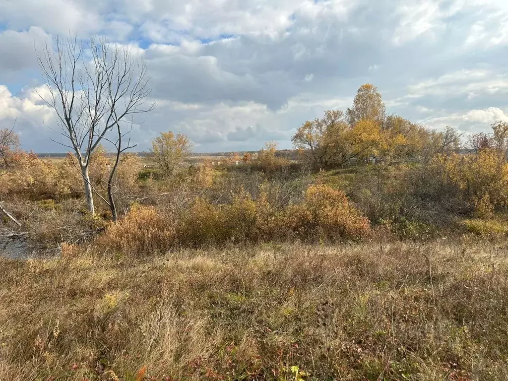 Участок в Башкортостан, Уфимский район, Николаевский сельсовет, с. ... - Фото 2