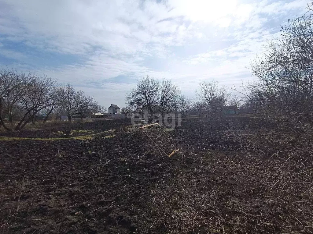 Участок в Белгородская область, Яковлевский муниципальный округ, Нива ... - Фото 1