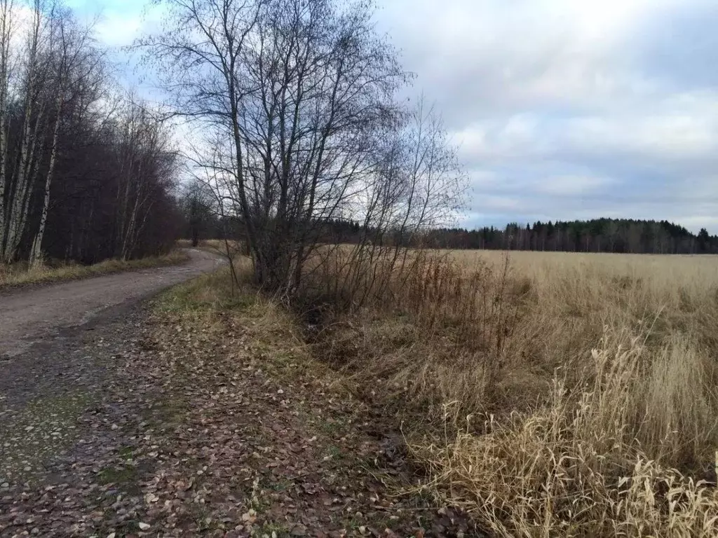 Участок в Ленинградская область, Выборгский район, Полянское с/пос, д. ... - Фото 0