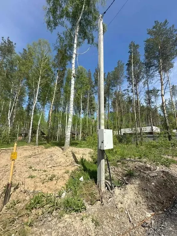 Участок в Новосибирская область, с. Новолуговое ул. Восточная, 34 ... - Фото 1