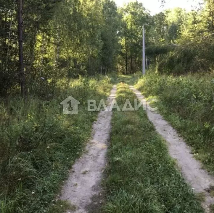 дачи перемышльский район снт чайка-1. морозовы дворы. перемышльский район деревня морозовы дворы. перемышльский-район. рф дворик морозова.