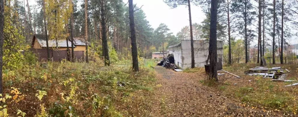 Участок в Кемеровская область, Кемеровский муниципальный округ, д. ... - Фото 0