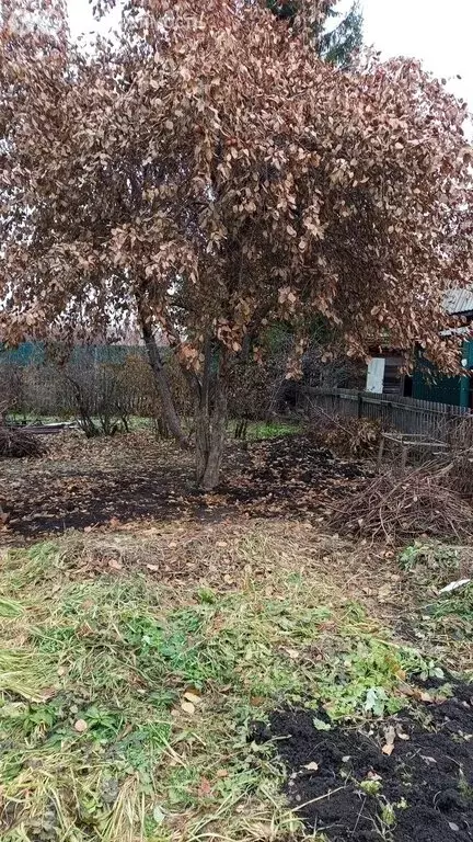 Дом в Омск, улица 10 лет Октября (40 м) - Фото 2