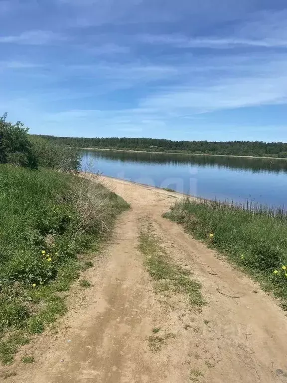 Участок в Ярославская область, Тутаевский муниципальный округ, ... - Фото 1