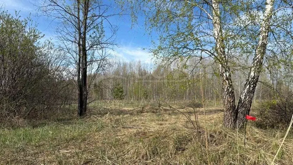 Участок в Тюменская область, Нижнетавдинский район, д. Московка 5-я ... - Фото 0