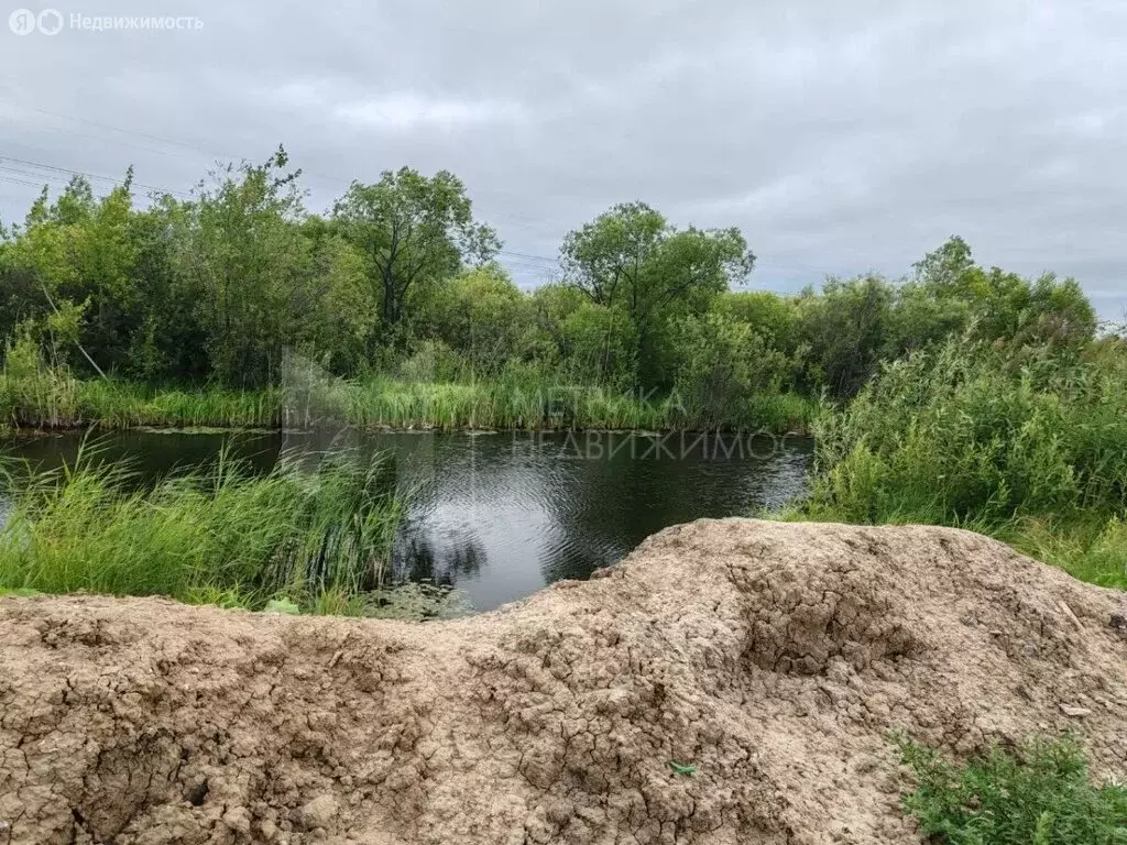 Участок в Тюмень, садоводческое некоммерческое товарищество ... - Фото 1