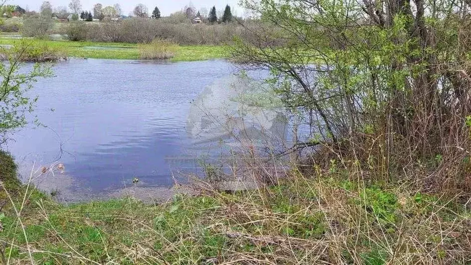 Дом в Новгородская область, Батецкий муниципальный округ, д. Косицкое  ... - Фото 2
