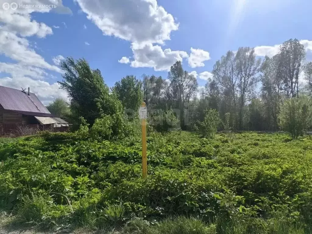 Участок в Майминский район, посёлок Дубровка, улица Сафронова (8.4 м) - Фото 2