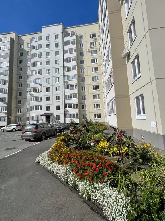 1-к кв. Омская область, Омск Сибирский просп., 45 (41.0 м) - Фото 1