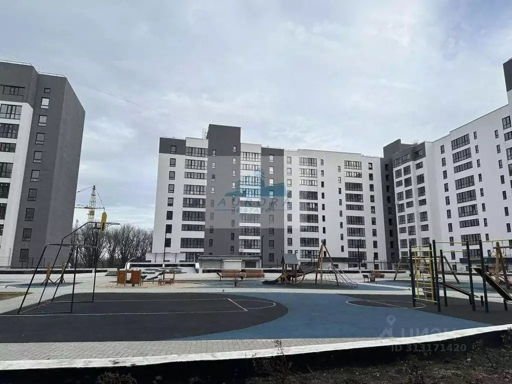 2-к кв. Саратовская область, Саратов ул. Имени Евгения Долгина, 4 ... - Фото 0