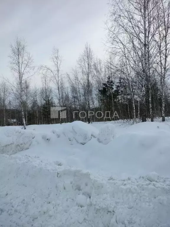 Участок в Новосибирская область, Новосибирский район, Барышевский ... - Фото 2