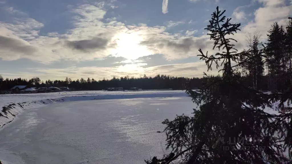 Участок в Московская область, Шаховская муниципальный округ, Шаховская ... - Фото 1