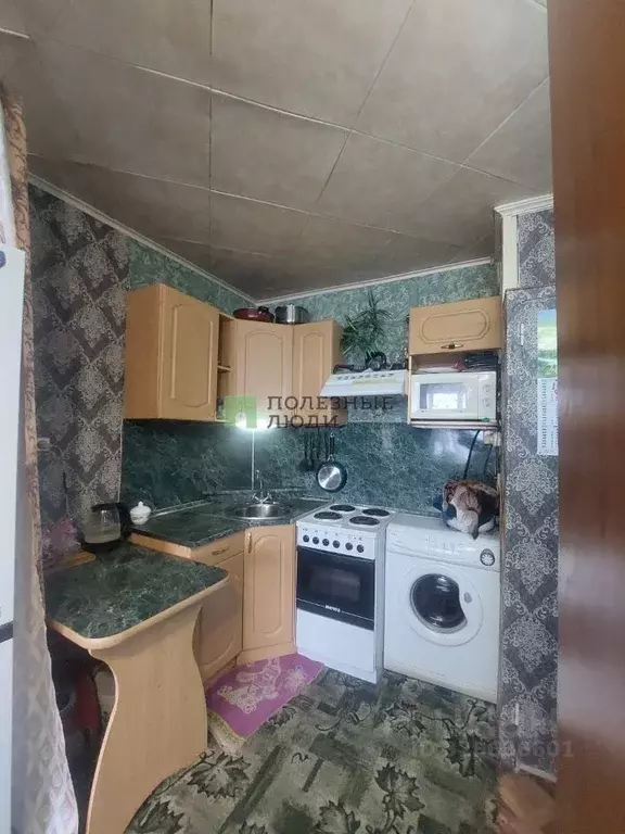 Студия Курганская область, Курган Половинская ул., 8Б (17.1 м) - Фото 1