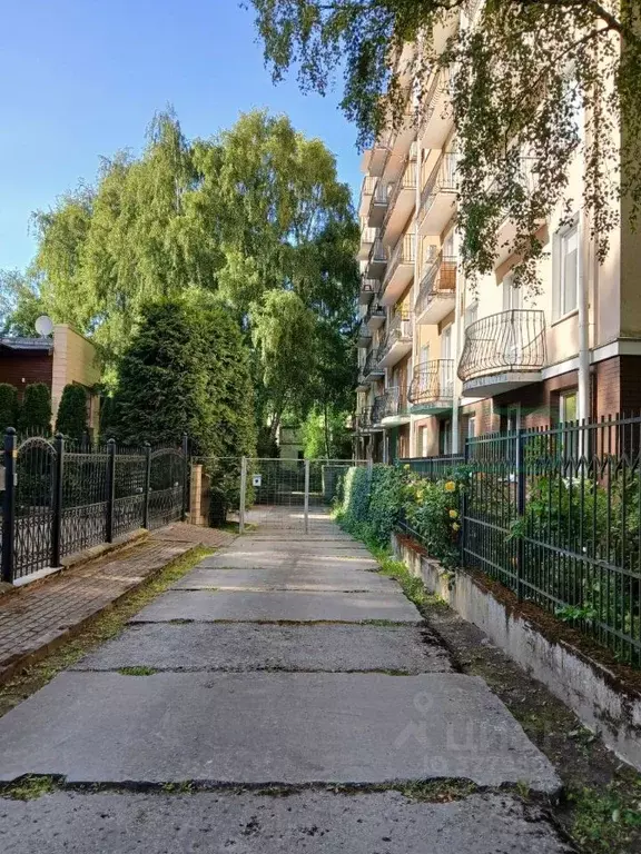 Участок в Калининградская область, Светлогорск Калининградский просп. ... - Фото 1